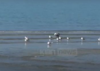 Deti dhe moti i ngrohtë popullojnë Vlorën, turistët shijojnë qytetin bregdetar edhe në vjeshtë