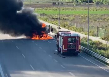VIDEO/ Shkrumbohet kamioni në Bypass-in e Fierit, bllokohet autostrada