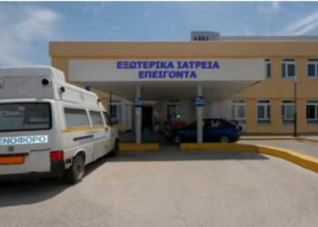 Ndodh edhe kjo/ Zjarrfikësi shqiptar iku të shuajë zjarret në Greqi, i kërkohet të paguajë 20 euro për analizat