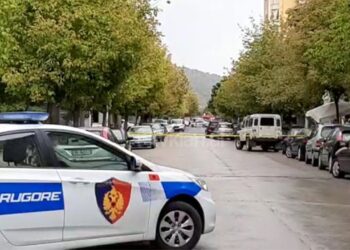 Ishte larguar nga banesa, gjendet e pajetë në pyll e moshuara në Elbasan. Dyshohet se kishte rrëshkitur dhe…