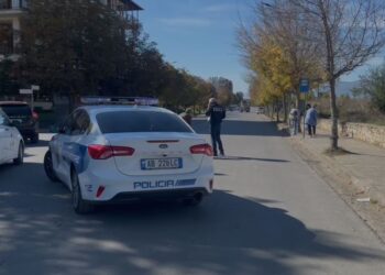 EMRI/ Përplasi për vdekje 50-vjeçarin, arrestohet shoferi në Korçë
