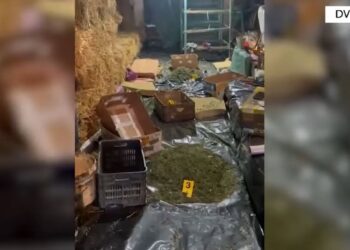 Magazina ku thahej droga dhe përgatitej për t’u shitur, kush janë 4 të arrestuarit, mes tyre pronari dhe bashkëpunëtori i tij