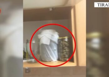 Policia e Tiranës gjen 2.1 kg kanabis në shtëpinë e 31-vjeçarit. Ku ishte fshehur droga (VIDEO)