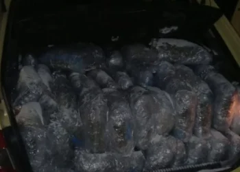Prej 6 vitesh në kërkim nga Greqia, kapet 54-vjeçari shqiptar, kishte mbushur makinën plot me drogë
