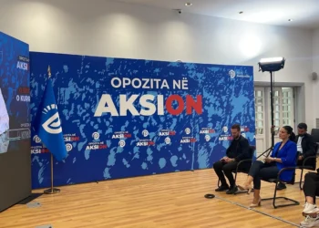 Kaposhi u katandis një thelë/ Berisha për numrin e vogël të pjesëmarrësve në protestën para Bashkisë Tiranë: Mosbindja civile është full time, por…
