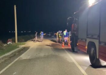 Mori para tufën me bagëti dhe vrau 37 dele, arrestohet shoferi në Fier, ishte tapë në timon