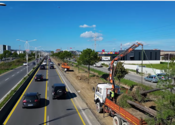 VIDEO / Veliaj: Të gjitha pemët e zhvendosura nga autostrada Tiranë-Durrës do të mbillen në Parkun e Liqenit dhe pika të tjera