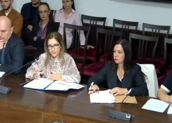 Drejtuesit problematikë do paguajnë siguracion më të lartë. AMF: Në çmim ndikojnë dhe 7 faktorë risku