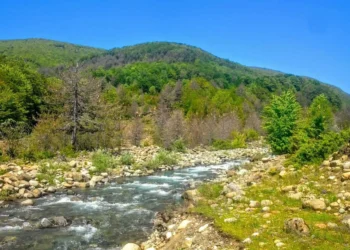 Parku i Shebenikut atraksion turistik, 130 mijë vizitorë në 9 muaj të vitit 2024