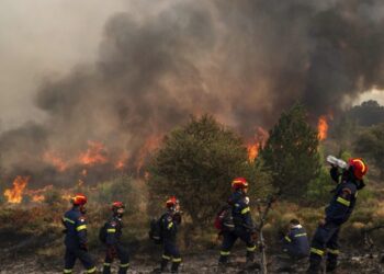 Shqipëria i shkon në ndihmë Greqisë për shuarjen e zjarreve, 30 zjarrfikës nisen drejt vendit fqinj