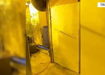 Kthyen magazinën në “shtëpi bari”, 7 të arrestuar, 3 prej tyre punonjës të OSHEE-së (EMRAT)