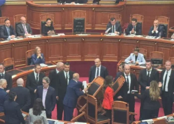 “E di që je në siklet, por…”, deputetët e Berishës pengojnë kreun e KLSH-së të raportojë, ai largohet