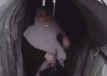 Mbante çantën Birkin 30.000 euro, rrjeti shpërthen ndaj vejushës së liderit të Hamasit