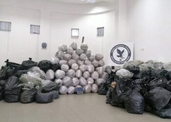 Zbulohet ferma me 1 ton kanabis në Greqi, arrestohet 37-vjeçari shqiptar