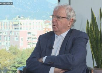 “Nuk mund të jetë kryeministri mjek ose piktor”, Ngjela: Nuk janë profesione për të zhvilluar shoqërinë