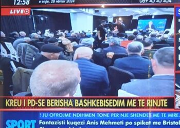 “Takim me të rinjtë” – Perla e PD, në ditën e Pavarësisë