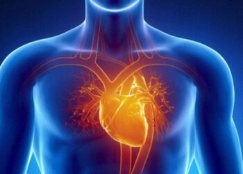 Pesë faktorët kryesorë që ndikojnë në shëndetin e zemrës