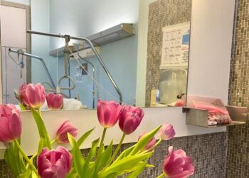 Siç i kopjojmë Italisë turizmin, gatimin, modën, sa më shpejt dhe sistemin shëndetësor!