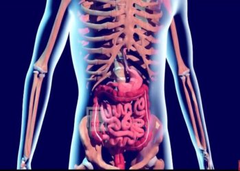 80% e popullatës e prekur nga helikobakteri, mjekët: Është i vështirë në trajtim