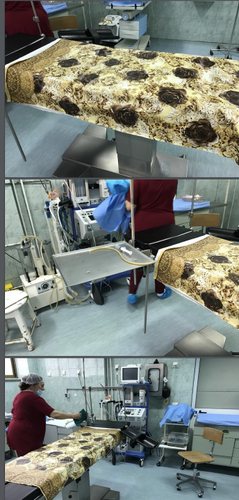 FOTOT/ Ja pse Albana Vokshi refuzon të dëgjohet Ilir Beqaj, pasi e ka thirrur vetë në Komision