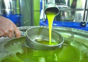 Vaji i ullirit shitet më lirë, çmimet bien krahasuar me vitin e kaluar