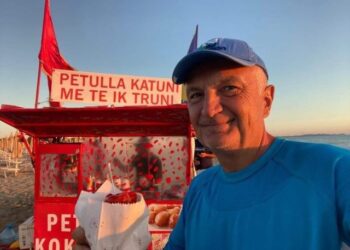 Ngritja, shkëlqimi dhe rënia e Ilir Metës