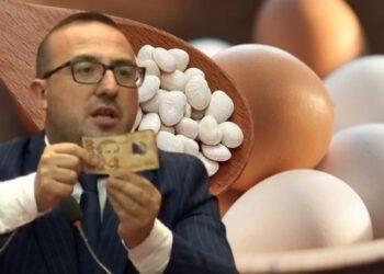 Skema e pensioneve, ironizon Korreshi: Me rritjen marrin një tufë qepë e 1 kg fasule