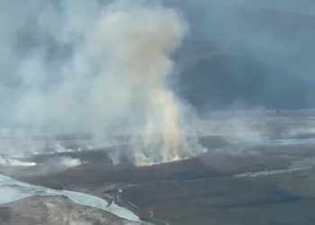 FOTO/Përfshihet nga flakët lugina e Vjosës, zjarri përhapet me shpejtësi drejt ullishteve