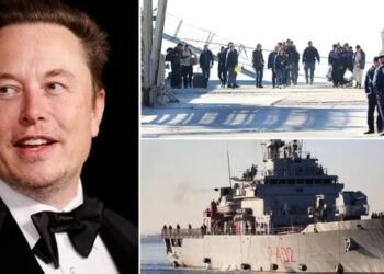 Elon Musk “ndërhyn” në marrëveshjen Rama-Meloni: Të dorëhiqen gjykatësit që i kthyen emigrantët në Itali