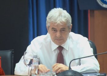 “E latë shqipen me ligj të cunguar”, BDI kritikon Kurtin: Keqardhje për fjalët e tij