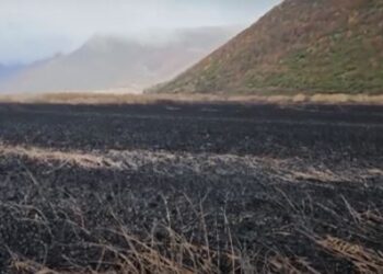 Dëmi i shkaktuar, fatal për ekosistemin/ Si po shkatërrohet Prespa e Vogël, digjen kallamishtet për hapjen e tokave bujqësore