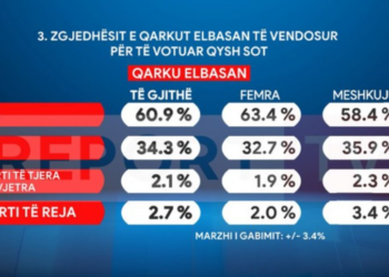 Sondazhi për Elbasanin/ Femrat votojnë mbi 63% Partinë Socialiste! Meshkujt më të prirur ndaj partive të reja