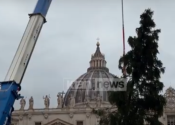 Vatikani nis përgatitjet për Krishtlindjet, vendoset pema në sheshin e Shën Pjetrit (VIDEO)