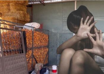 “Vinte shpesh së bashku me të motrën, edhe tek puna e Edisonit”/ 43-vjeçari akuzohet se p*rdhunoi vajzën e mitur të mikut të tij për 4 vite, reagon bashkëshortja