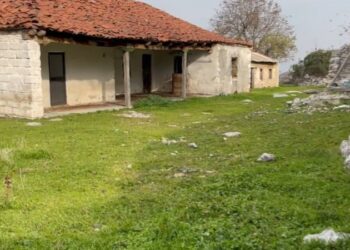 Arusha “pushton” fshatin Krenx të Kukësit