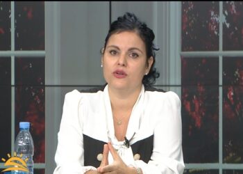 Sëmundjet pulmonare kronike, mjekja: Duhanpirja dhe ndotja, faktorët kryesorë