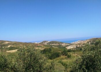 Tjetërsimi i 14 mijë m² tokë në Gjirin e Lalëzit, lihet në burg ish-drejtori i Hipotekës
