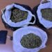 Iu gjetën më shumë se 3 kg drogë në makinë, arrestohen dy persona në Tiranë