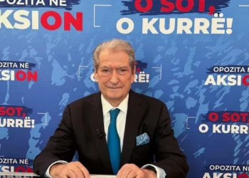 29-Nëntori, Berisha sulmon luftën partizane: Kryen gjenocid dhe krime kundër njerëzimit