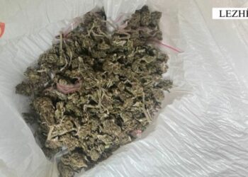 “E fshehim poshtë sediljes!”/ “Xhiro” nëpër qytet me drogë me vete, e pësojnë katër të rinjtë në Lezhë
