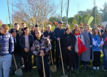 “80 pemë për 80 vite çlirim”/ Tirana nis sezonin e mbjelljeve, Veliaj: Të qartë në vokacionin tonë Europian