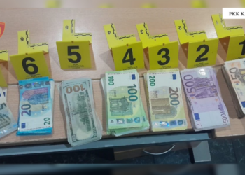 Turku fshehu mijëra euro në kabinën e kamionit, kapet në Kapshticë