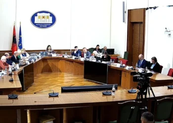 “O Mondi ti nuk i lyen vetullat”, sherr te ‘Sterilizimi’, Vokshi-deputetit: Kështu ju thanë dje?