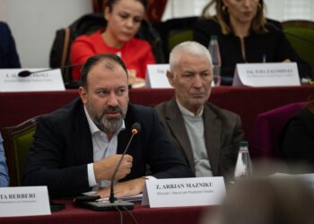Mazniku në komisionin “Antikorrupsion”: Duhet të lehtësohet regjistrimi i pronave të bashkive