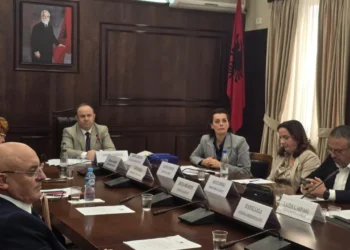 KED nis punën për të zëvendësuar Elsa Toskën: Nuk e çmojmë të përshtatshme t’i drejtohemi Kuvendit mbi kohëzgjatjen e mandatit