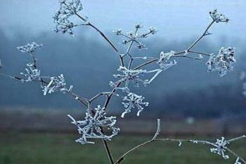 Temperatura minus -4°C, si parashikohet moti për këtë të diel