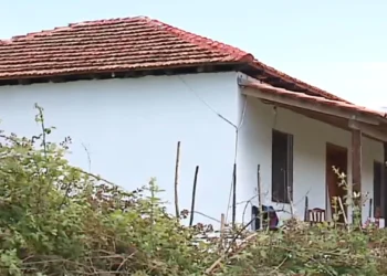 Ngjarja e Maliqit, psikologët apel prindërve: Ka plot raste që kalojnë pa denoncim