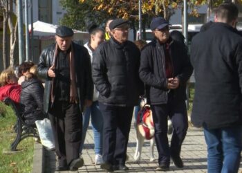 Plakja e popullsisë, sfidë shërbimet për moshën e tretë