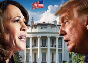 VIP-at në fushatë, të famshmit që mbështesin Harris dhe Trump