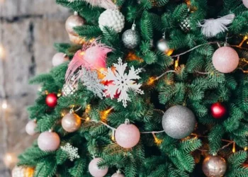 Shqiptarët plot shpirt festash, nuk kursehen për shpenzimet e dekorit për Vitin e Ri